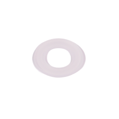 Anti-Extrusion Gasket, 200 WTI Head