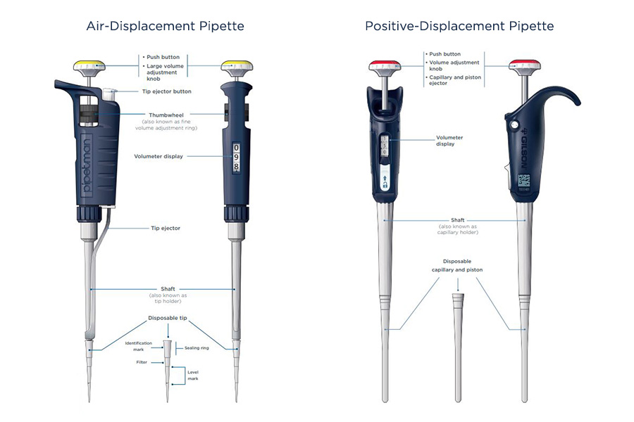Contamination-pipetting: relative efficiency of filter tips compared to  Microman® positive displacement pipette
