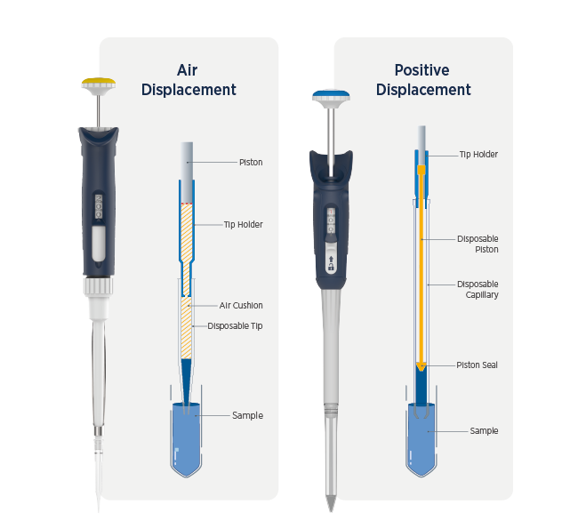 Positive Air Displacement Pipettes Plan